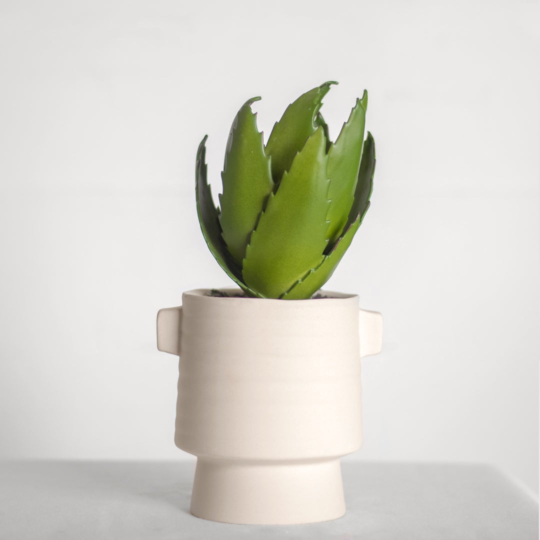 11" AGAVE IN CERAMIC POT